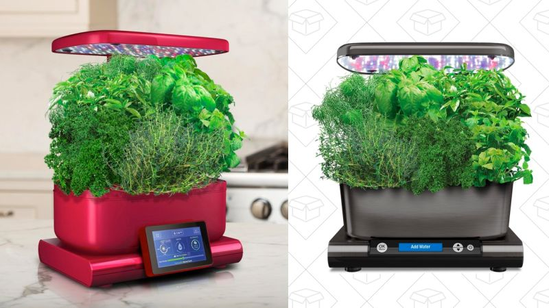 Rebajas de AeroGarden | Home DepotGráfico: Erica Offutt